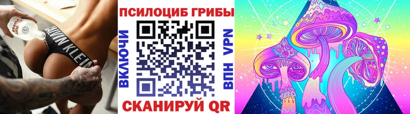 МЕГА вход  даркнет состав  Калининец  Псилоцибиновые грибы мицелий  продажа наркотиков 